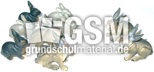 Hasen7+2.jpg